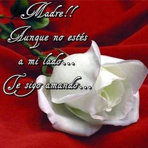 Meet your Posher, Yeny